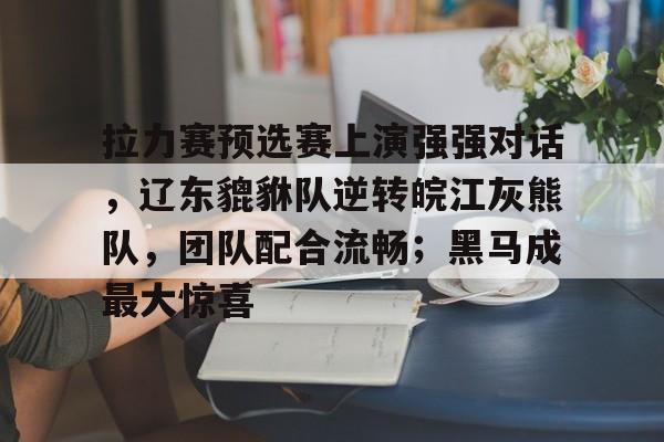拉力赛预选赛上演强强对话，辽东貔貅队逆转皖江灰熊队，团队配合流畅；黑马成最大惊喜的简单介绍-九游会体育
