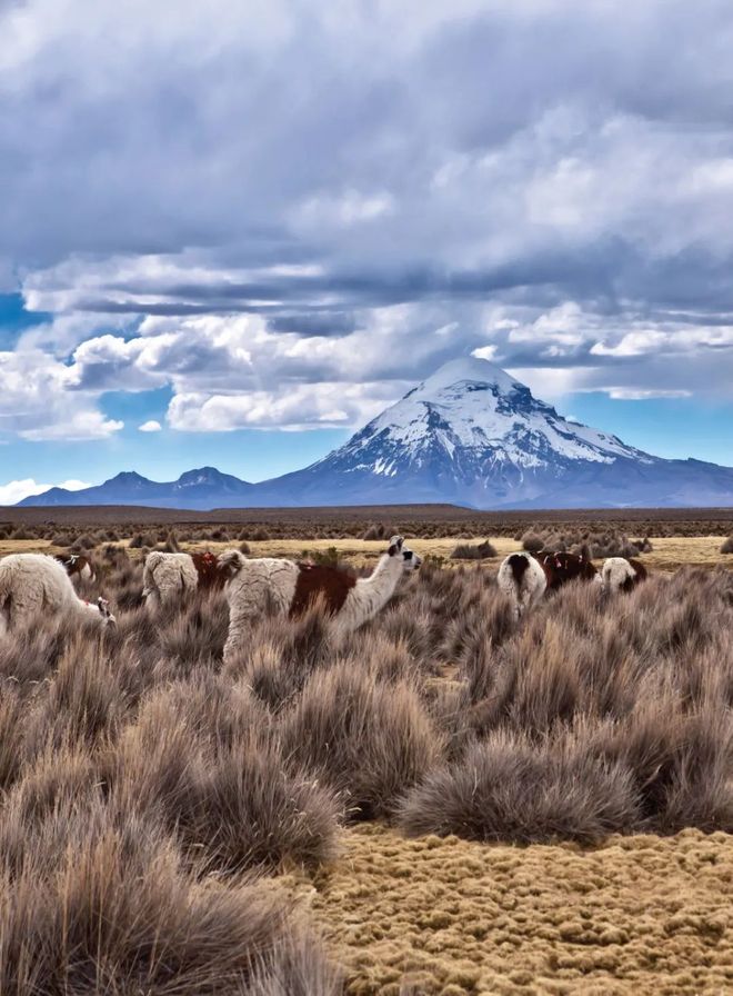 冲刺阶段皇家马德里备战社区盾;完成体检细节流出;形势明朗;赛程密集仍需轮换的简单介绍 冲刺阶段皇家马德里备战社区盾;完成体检细节流出;形势明朗;赛程密集仍需轮换的简单介绍