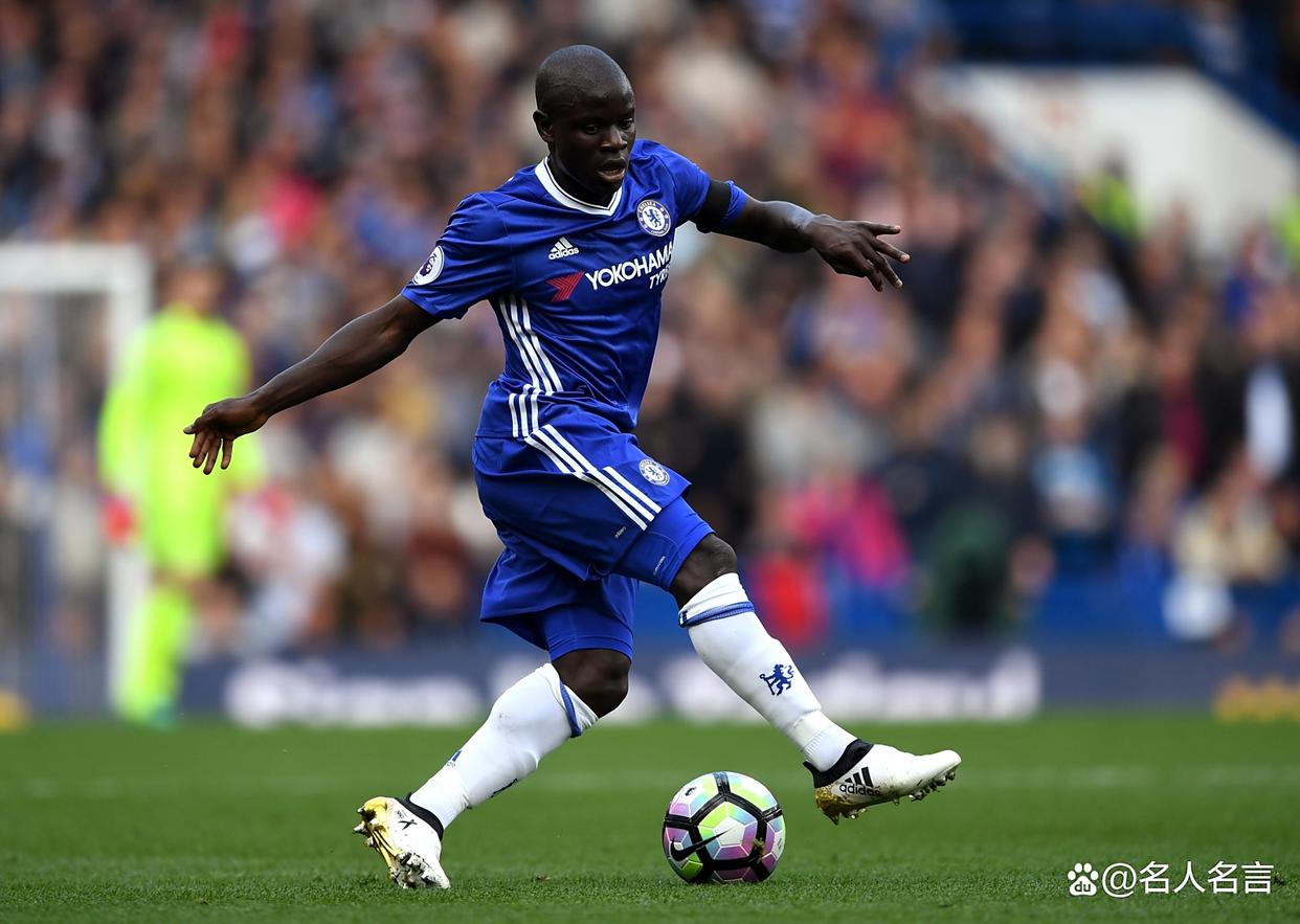  洋兰和国兰分别指的是什么 -九游会体育